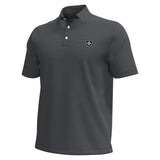 Short Sleeve Drive Stripe Performance Polo by Under Armour (Adult)